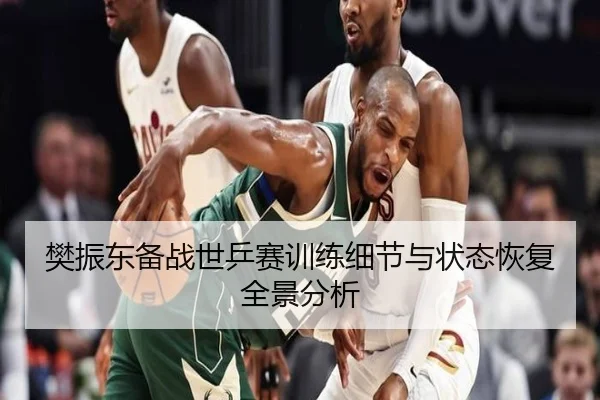 樊振东备战世乒赛训练细节与状态恢复全景分析